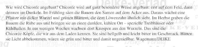 Wie wird Chicorée angebaut?