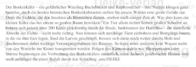 Der Borkenkäfer - ein gefährlicher Winzling