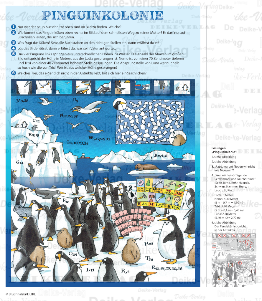 Pinguinkolonie