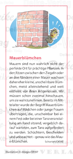 Mauerblümchen