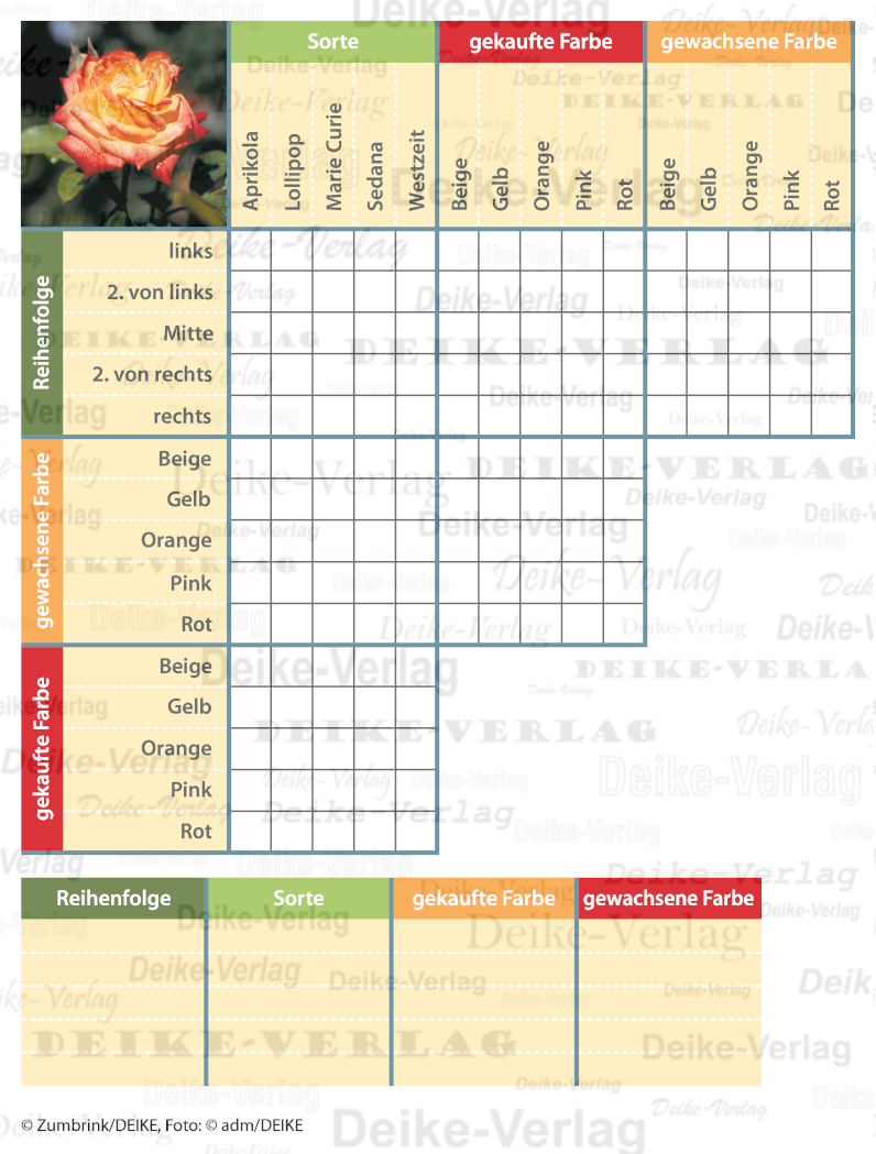 Rosenträume - Logicals