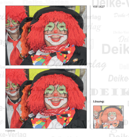 Fasnacht - Fehlerbilder KW 0627