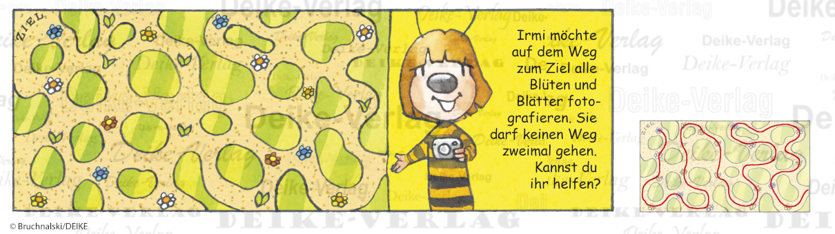 Labyrinth - Irmi die Rätselbiene KW 1523