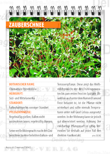 Zauberschnee