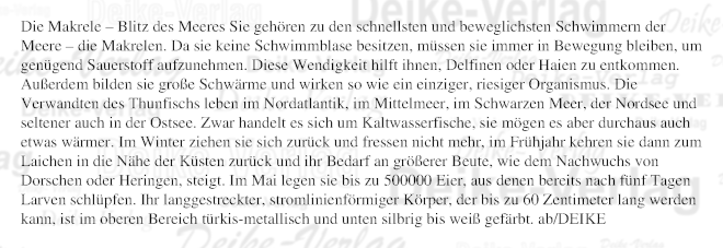 Die Makrele – Blitz des Meeres