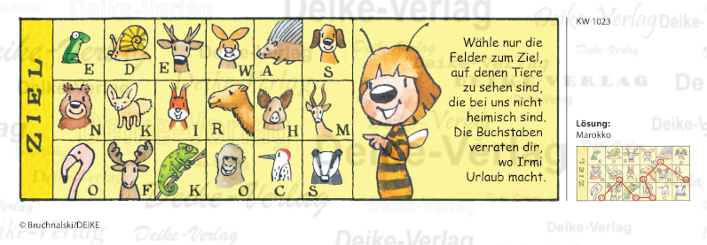 Marokko - Irmi die Rätselbiene KW 1023