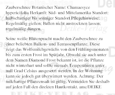 Zauberschnee