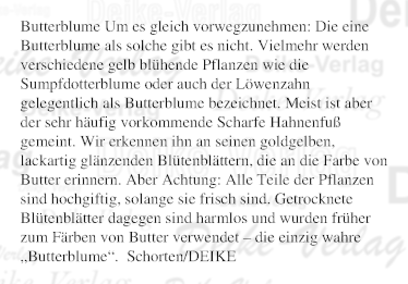 Butterblume