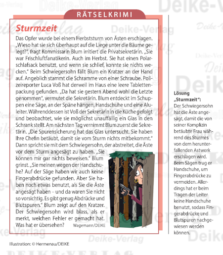 Sturmzeit - Rätselkrimi (Liz Blum)