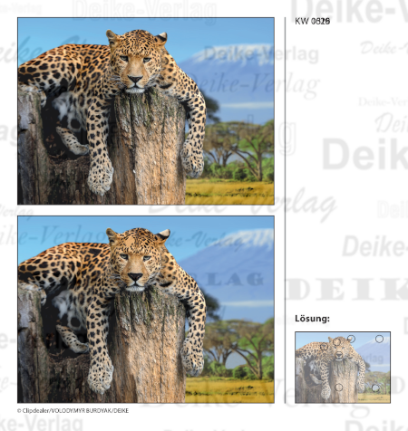 Leopard - Fehlerbilder KW 1626