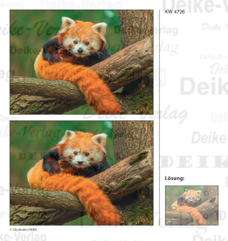 Roter Panda - Fehlerbilder KW 4726