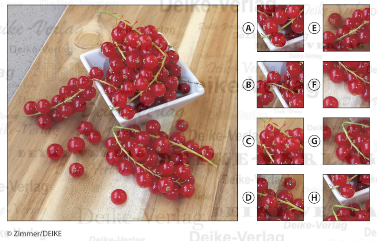 Johannisbeeren - Ausschnitträtsel