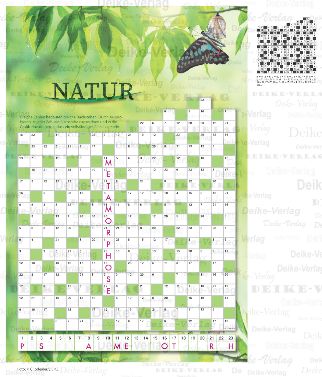 Schmetterling (Zahlenkreuzworträtsel) DIN A4