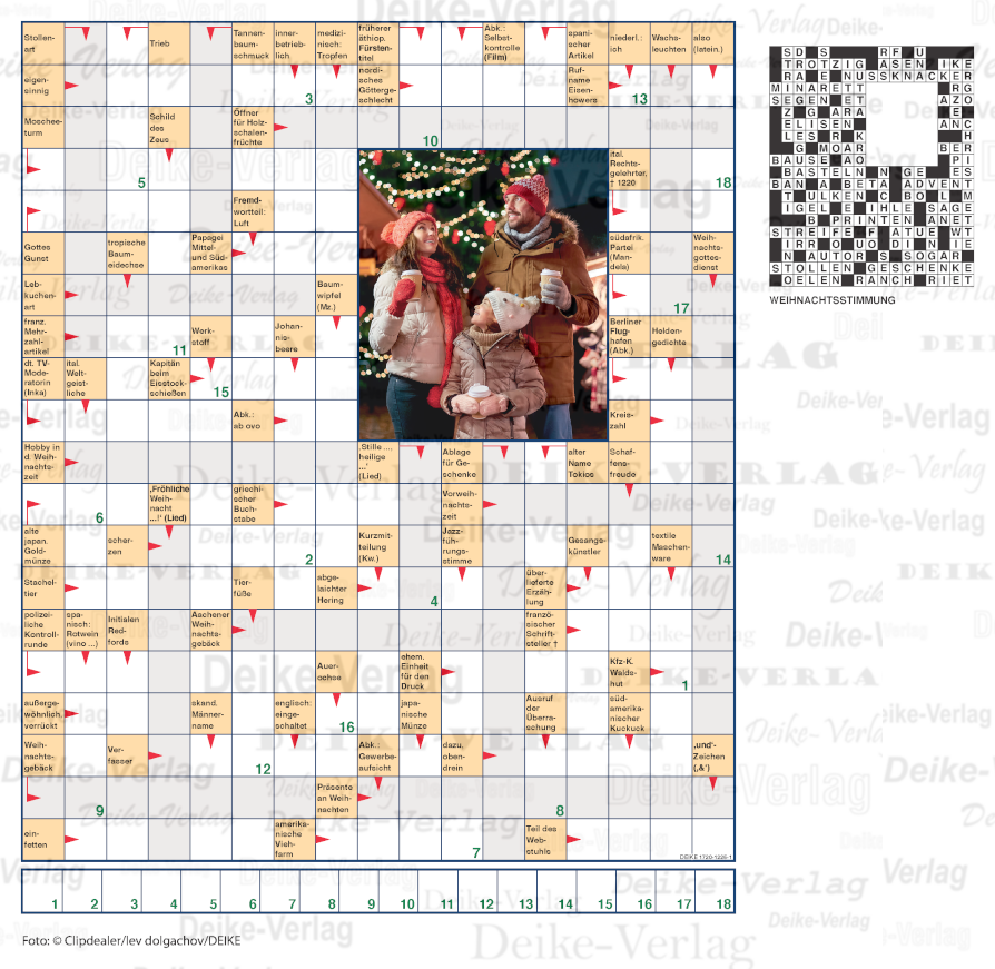 Weihnachtsstimmung (Schwedenrätsel) 1720