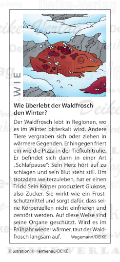 Wie überlebt der Waldfrosch im Winter?