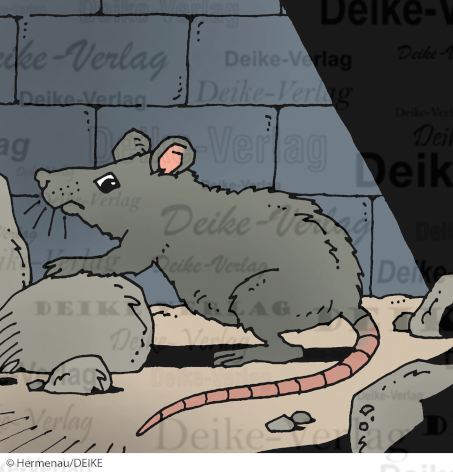Ratten